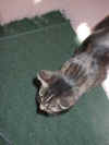 She insists on staying --- so what should we do?