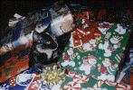Eclipse (Clipsie) - born June/July 1998 Amherstburg, Ontario