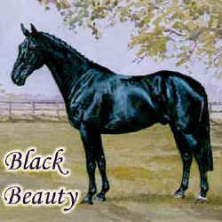 Illustration for Black Beauty